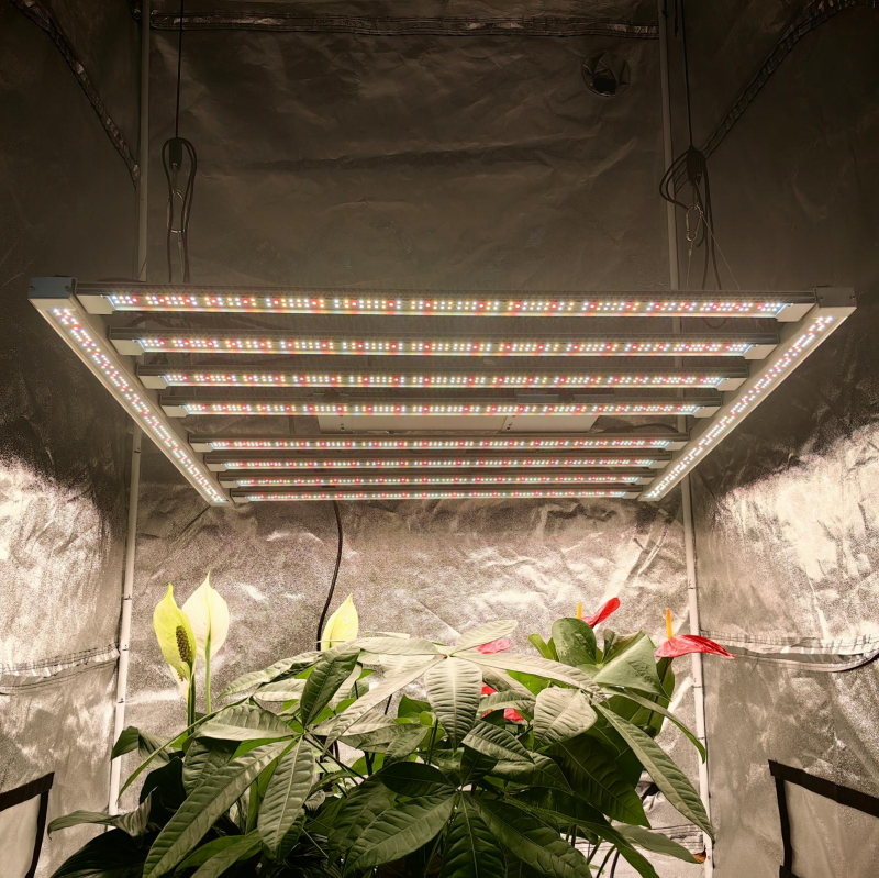 Low energy led on sale grow lights